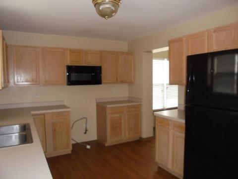 25631 S Daffodil Ln, Monee, IL 60449 photo 6