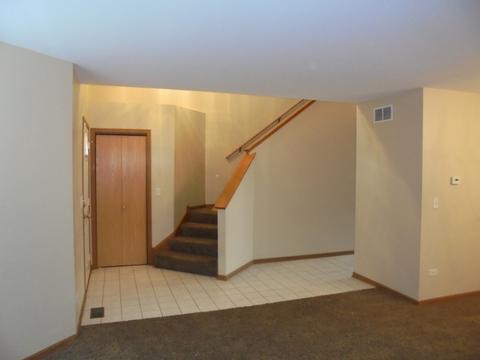 25631 S Daffodil Ln, Monee, IL 60449 photo 2