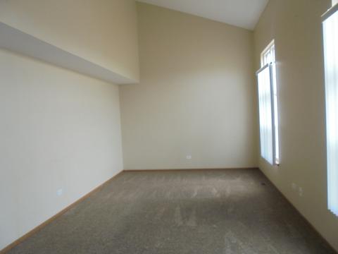 25631 S Daffodil Ln, Monee, IL 60449 photo 8