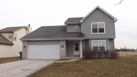 25631 S Daffodil Ln, Monee, IL 60449 photo 1