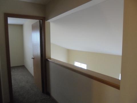 25631 S Daffodil Ln, Monee, IL 60449 photo 9