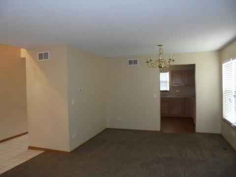 25631 S Daffodil Ln, Monee, IL 60449 photo 3