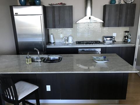 340 E Randolph St #5002, Chicago, IL 60601 photo 2
