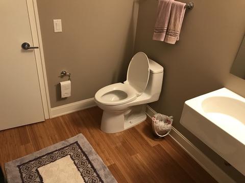340 E Randolph St #5002, Chicago, IL 60601 photo 9