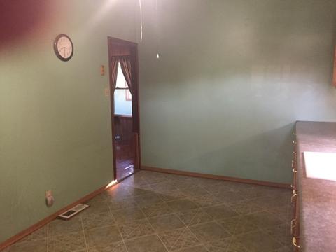 601 E 3rd St, Spring Valley, IL 61362 photo 11
