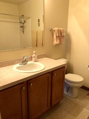 2460 Georgetown Cir, Aurora, IL 60503 photo 13