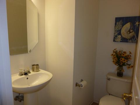 32 Twickenham Ct, Algonquin, IL 60102 photo 20