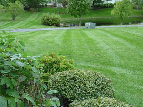 32 Twickenham Ct, Algonquin, IL 60102 photo 23