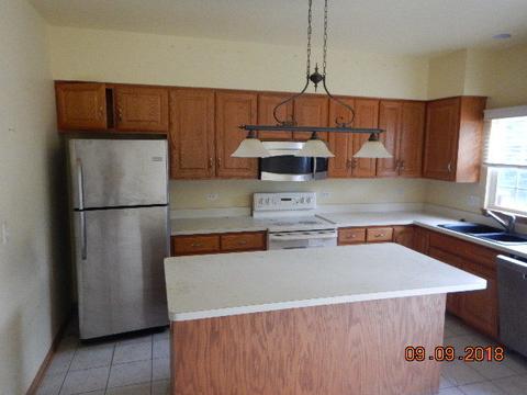 13542 Golden Eagle Cir, Plainfield, IL 60544 photo 7