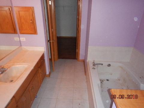 13542 Golden Eagle Cir, Plainfield, IL 60544 photo 10
