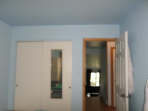 353 Dover Dr, Des Plaines, IL 60018 photo 16