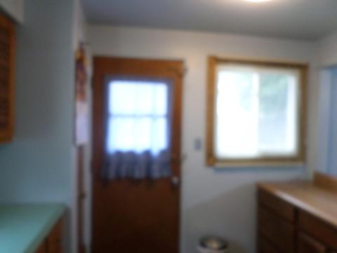 353 Dover Dr, Des Plaines, IL 60018 photo 23