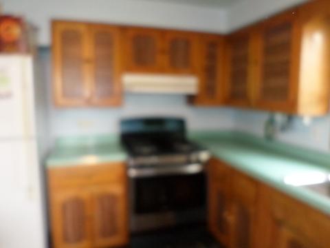 353 Dover Dr, Des Plaines, IL 60018 photo 20