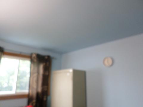 353 Dover Dr, Des Plaines, IL 60018 photo 15
