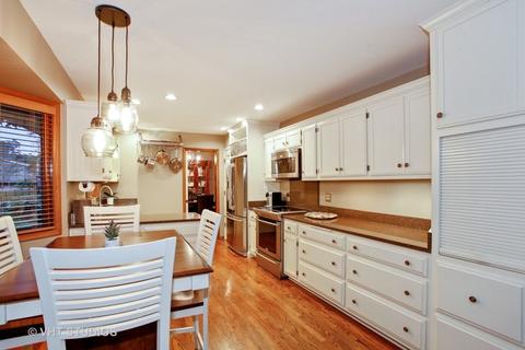 303 61st St, Willowbrook, IL 60527 photo 7