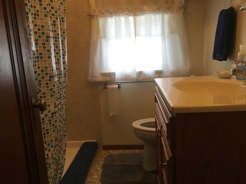 115 E Seminole St, Dwight, IL 60420 photo 16