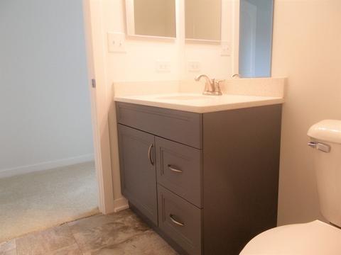 1322 Concord Ct, Elgin, IL 60120 photo 19