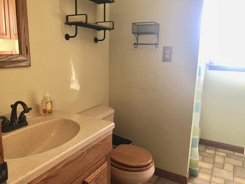 905 E Cleveland St, Ladd, IL 61329 photo 29