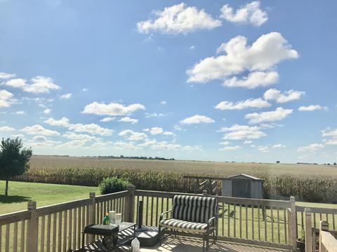 905 E Cleveland St, Ladd, IL 61329 photo 39