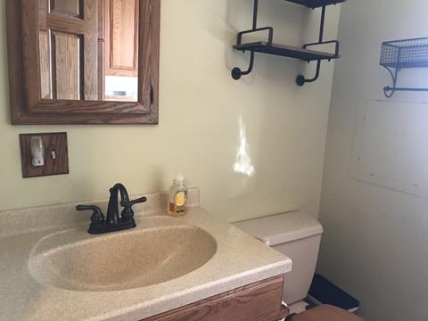 905 E Cleveland St, Ladd, IL 61329 photo 30