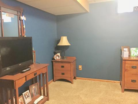 905 E Cleveland St, Ladd, IL 61329 photo 26