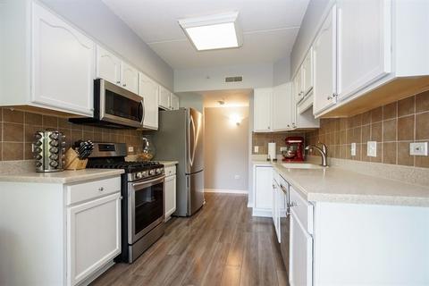 1349 E Washington St #207A, Des Plaines, IL 60016 photo 5