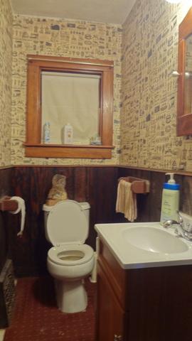 910 Bowditch Ave, Aurora, IL 60506 photo 9