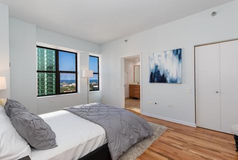 41 E 8th St #2201, Chicago, IL 60605 photo 15