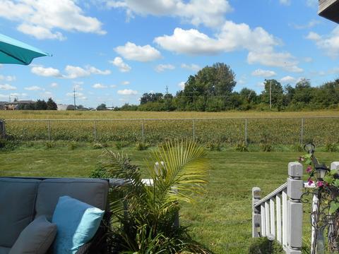 440 S Second St, Peotone, IL 60468 photo 10