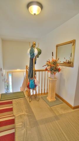 5013 Norwalk Ct, Plainfield, IL 60586 photo 22