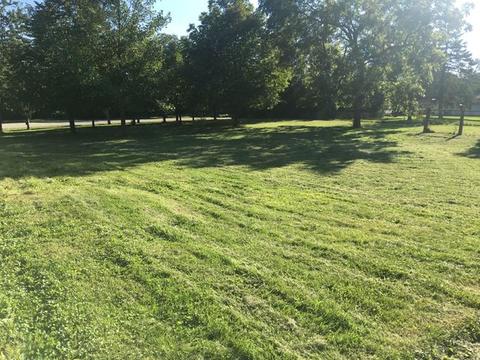 5 N426 Central Rd, Itasca, IL 60143 photo 15