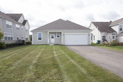 25724 Roundstone Ave, Plainfield, IL 60585 photo 5