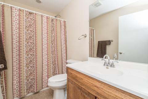 217 Deerhaven Dr, Minooka, IL 60447 photo 11