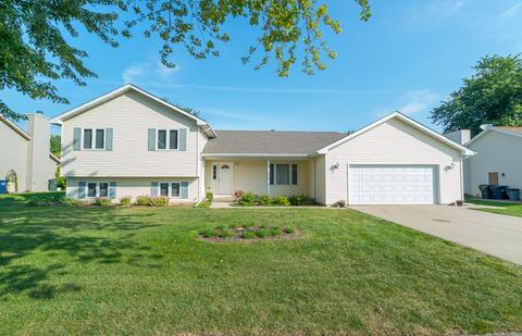 217 Deerhaven Dr, Minooka, IL 60447 photo 1