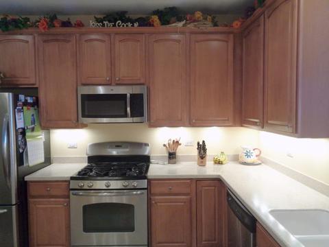 2829 Edgewater Dr, Elgin, IL 60124 photo 8