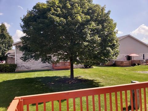 8213 Daniel Dr, Justice, IL 60458 photo 31