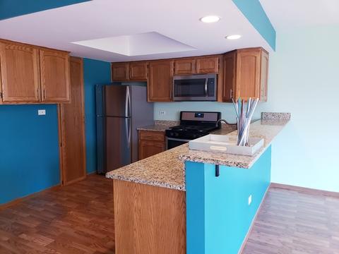 8213 Daniel Dr, Justice, IL 60458 photo 4