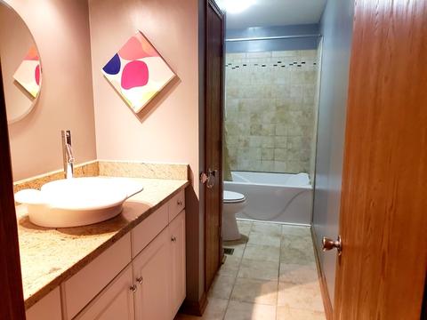 8213 Daniel Dr, Justice, IL 60458 photo 27