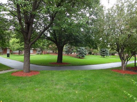 145 Dover Dr #9, Des Plaines, IL 60018 photo 15
