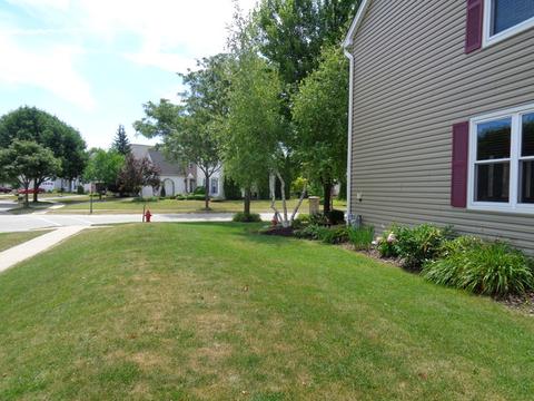 1905 Brier Glen Dr, Plainfield, IL 60586 photo 29