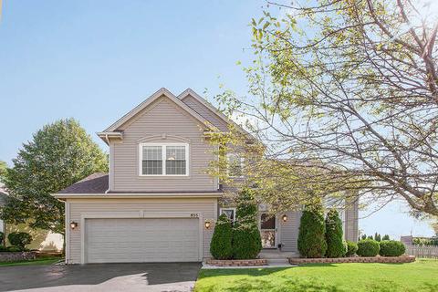 855 Columbine Dr, Elgin, IL 60124 photo 1