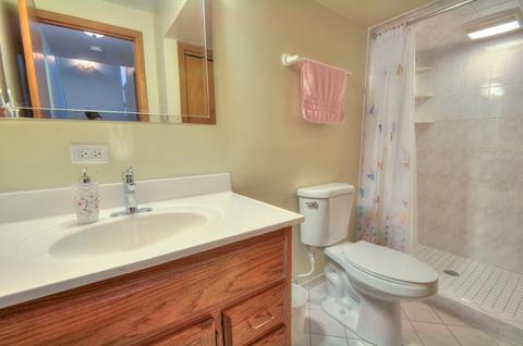 32620 S Lia Ln, Beecher, IL 60401 photo 14
