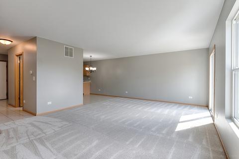 25942 Derby Dr, Monee, IL 60449 photo 10