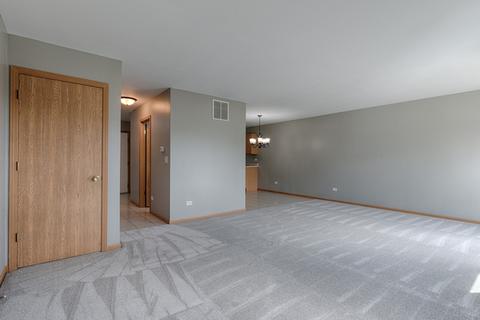 25942 Derby Dr, Monee, IL 60449 photo 9