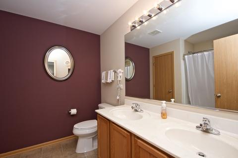 16332 Fox Creek Ln, Plainfield, IL 60586 photo 26