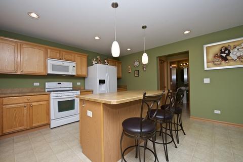 16332 Fox Creek Ln, Plainfield, IL 60586 photo 14