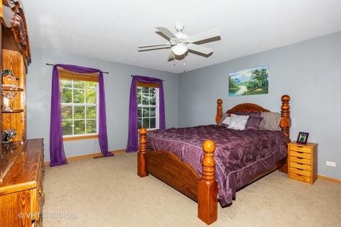 11709 S Derby Ln, Plainfield, IL 60585 photo 10