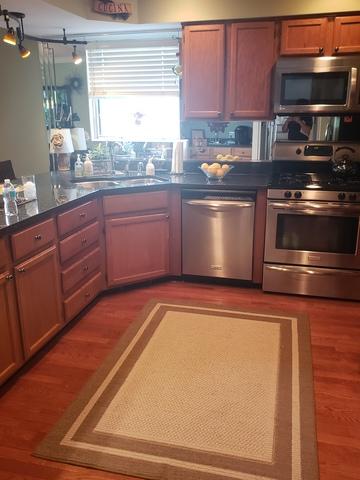 522 Orchards Pass, Bartlett, IL 60103 photo 27