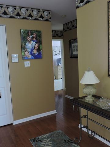 522 Orchards Pass, Bartlett, IL 60103 photo 8