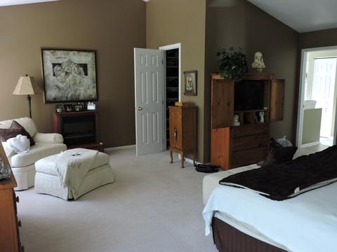 522 Orchards Pass, Bartlett, IL 60103 photo 12